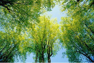 30年经典游戏《Free Stars》将出续篇 官方开启众筹